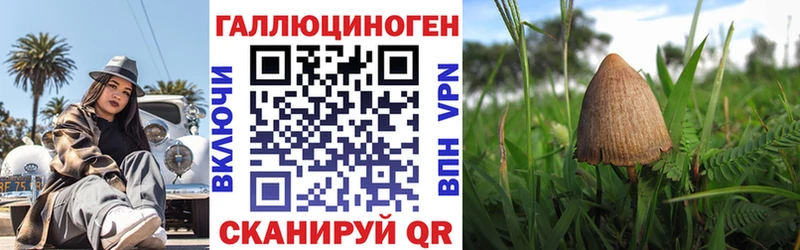 Псилоцибиновые грибы прущие грибы  как найти наркотики  Заволжск 